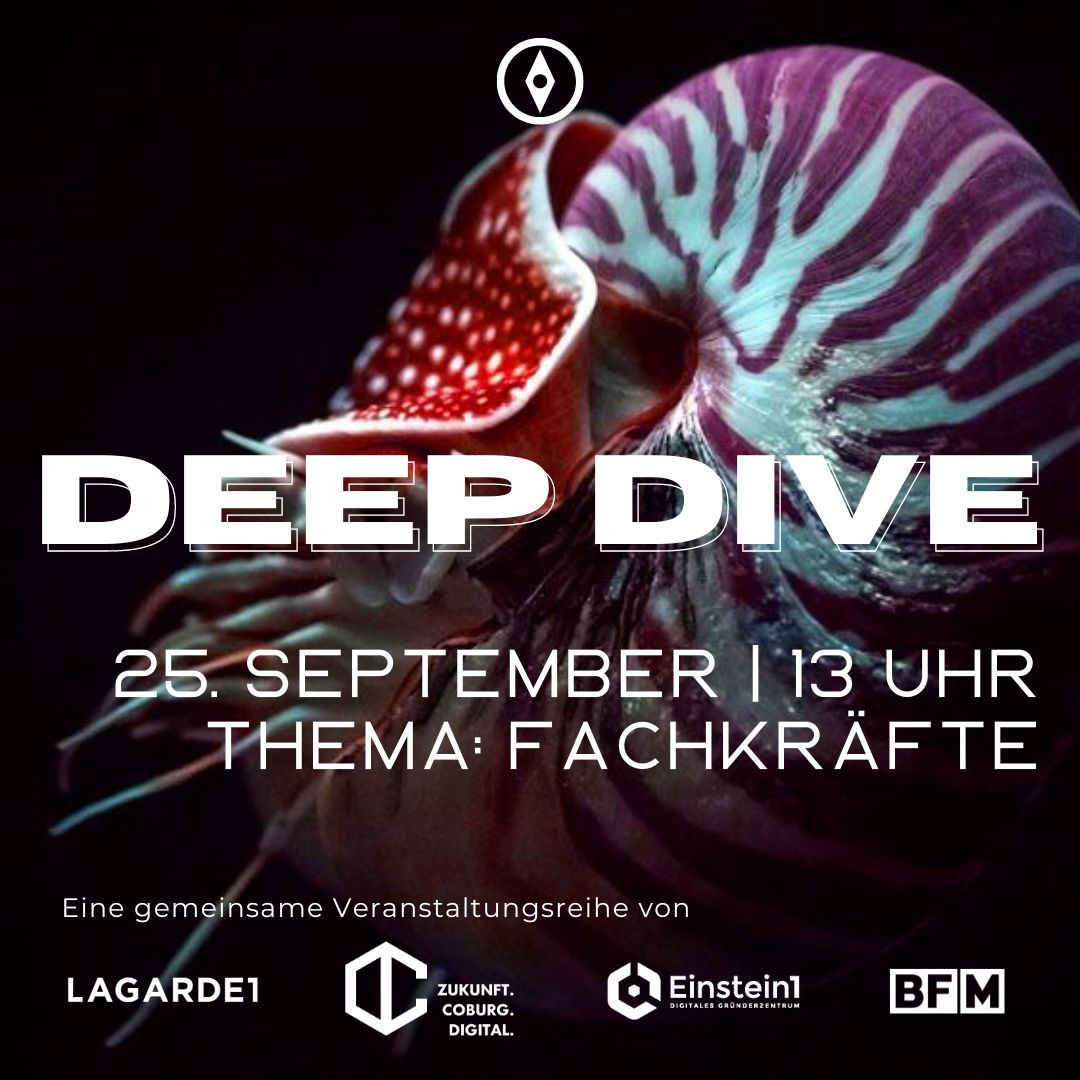 Teaser DEEP DIVE Fachkräfte